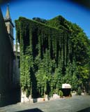 Hotel Raphael Rome Italy